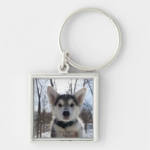 Outdoor portrait of husky dog puppy keychain