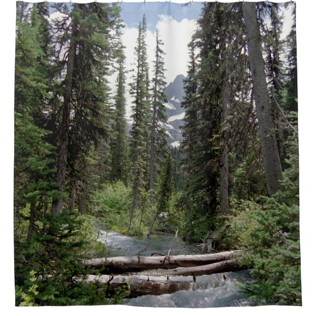 outdoor scene (Front)