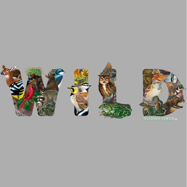 Outdoor School T-Shirt (Grey) (Creator Uploaded)