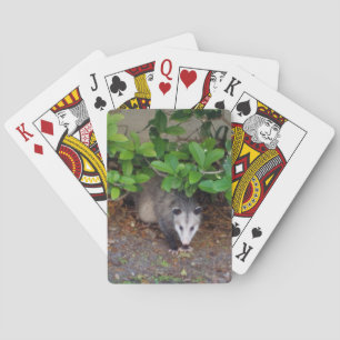 Outdoors Animal Playing Cards