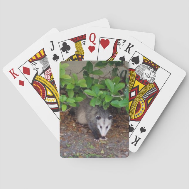 Outdoors Animal Playing Cards (Back)