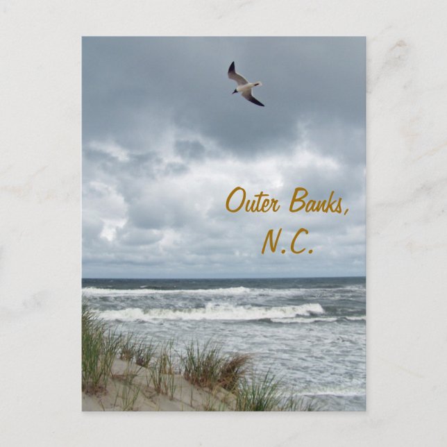 Outer Banks 2 Postcard (Front)