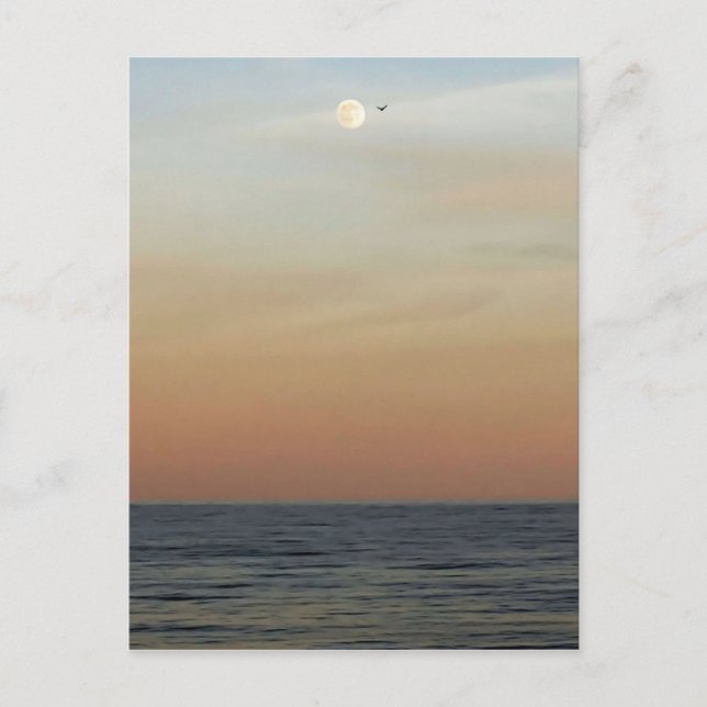 Outer Banks Moonrise Postcard (Front)