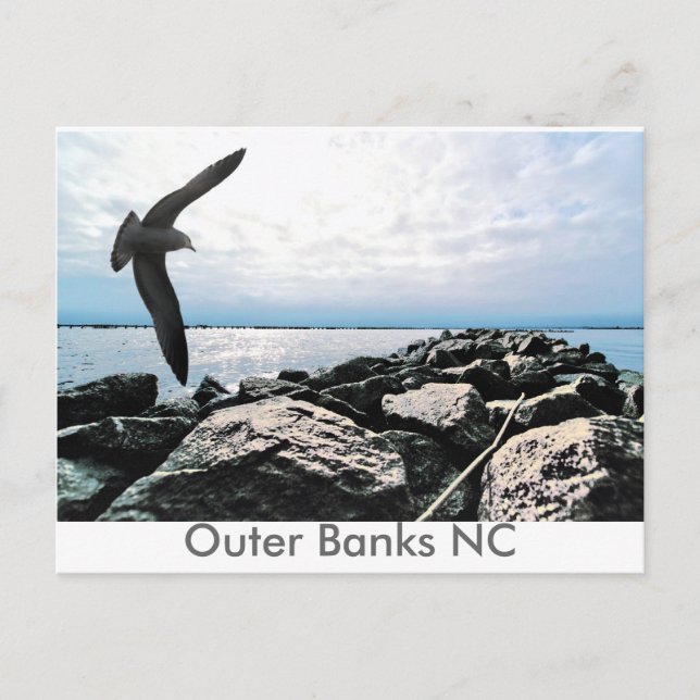 Outer Banks NC Postcard (Front)