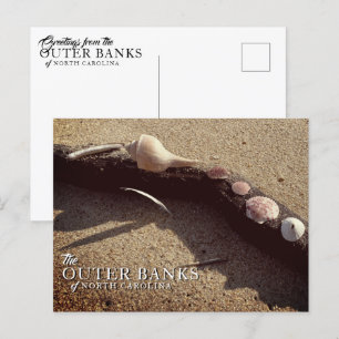 Outer Banks Sea Shells Postcards