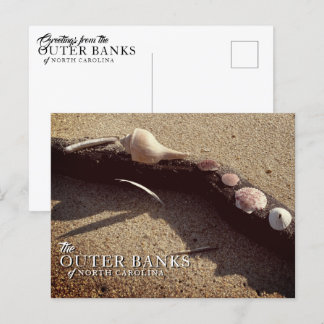 Outer Banks Sea Shells Postcards