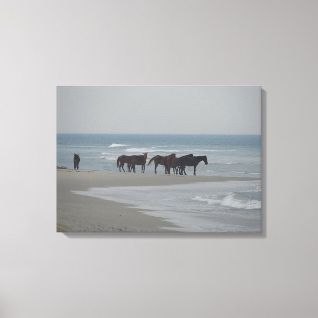 OUTER BANKS WILD MUSTANG HORSES ON THE BEACH CANVAS PRINT (Front)