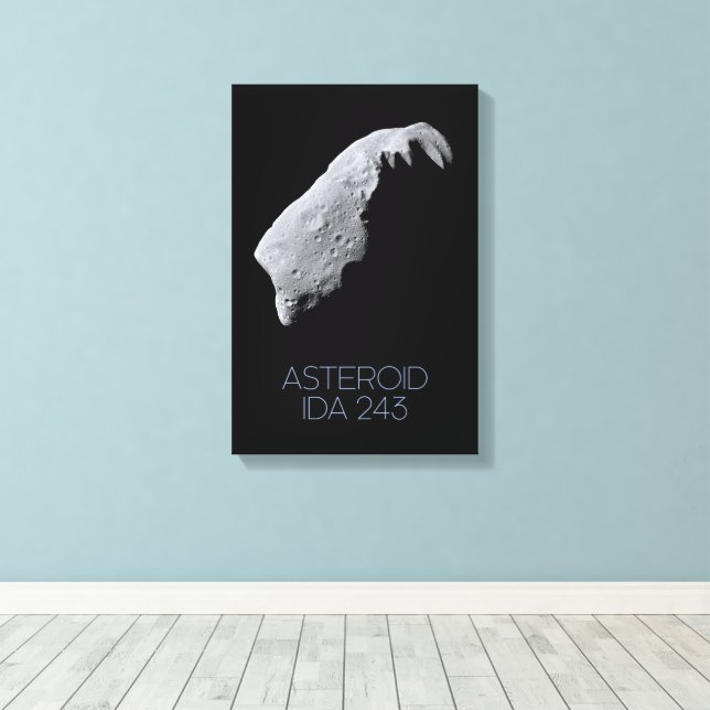 Outer Space, Solar System, Asteroid Belt, IDA 243 Canvas Print (Insitu(Wood Floor))