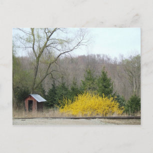 Outhouse Postcard 2