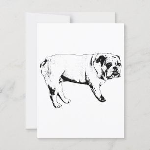 Outline Bulldog Postcard