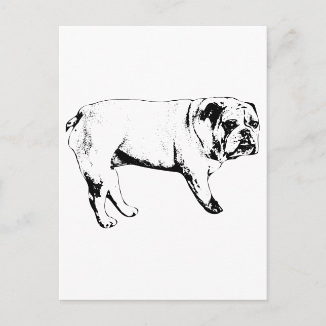 Outline Bulldog Postcard (Front)