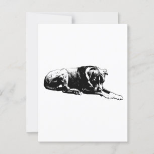 Outline Lounge Postcard