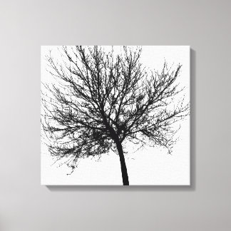 Outline of a Tree Canvas Print