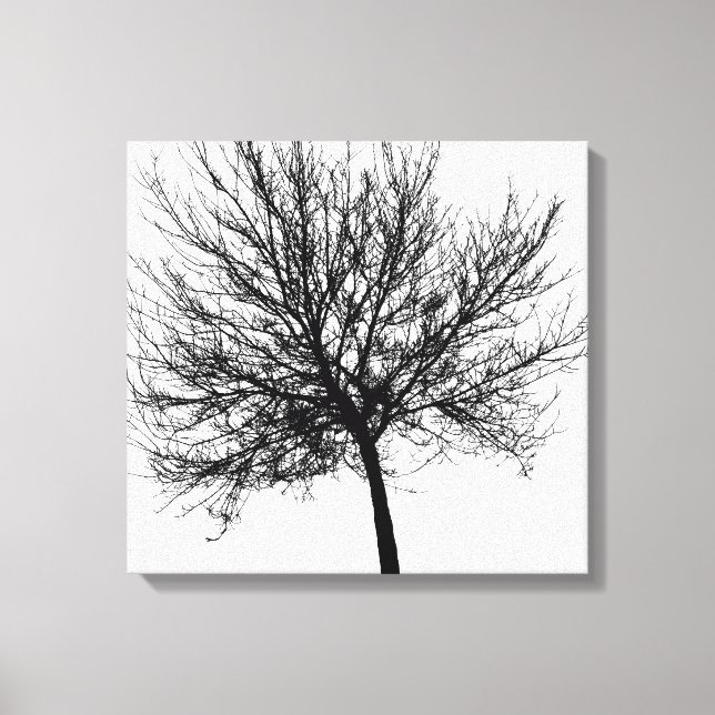 Outline of a Tree Canvas Print (Front)
