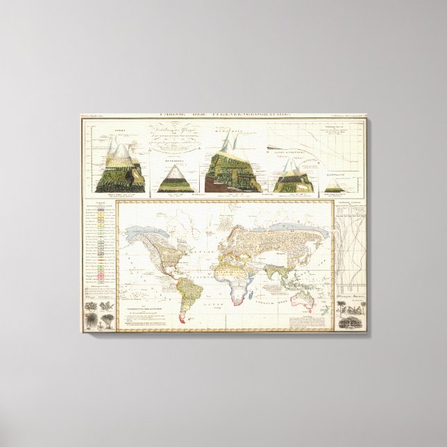 Outline of plant geography canvas print (Front)