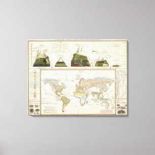 Outline of plant geography canvas print