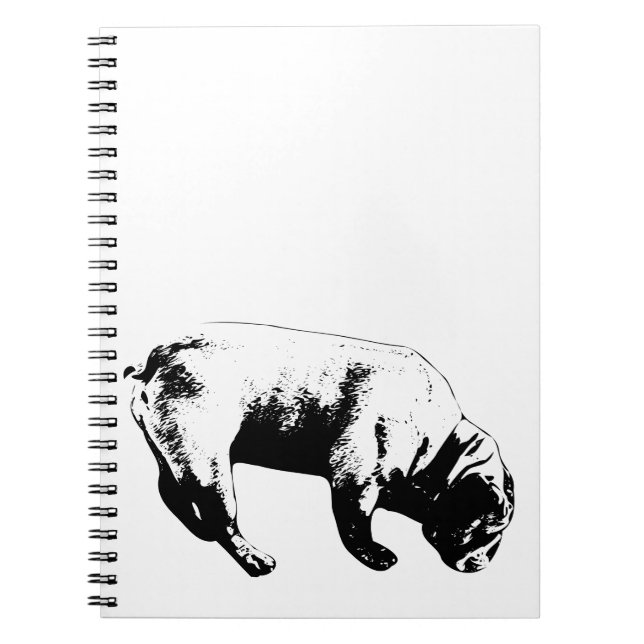 Outline Scout, Clarity Book (Front)