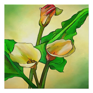 Outlined Calla Lilies Against A Green Ombre  Poster