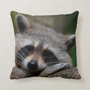 Outrageously Cute Baby Raccoon Throw Pillow