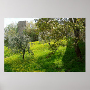 Outside San Gimignano walls Poster