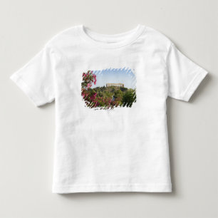 Outside The Valley Of The Temples Toddler T-shirt