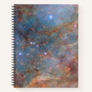 Outskirts of The Tarantula Nebula Notebook