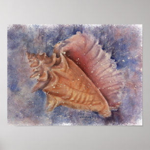 Outstanding Conch Beach Shell Poster