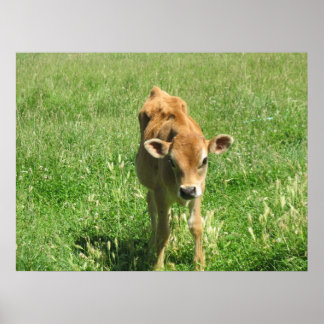 Outstanding In his field  Photo Print