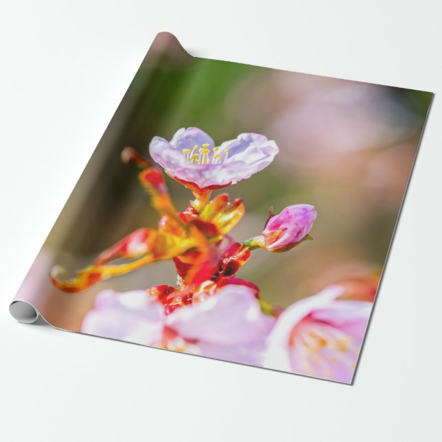 Outstanding Pink Sakura Flower Wrapping Paper (Unrolled)
