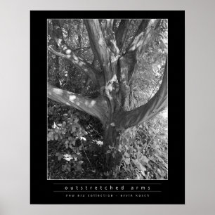 Outstretched Arm Poster