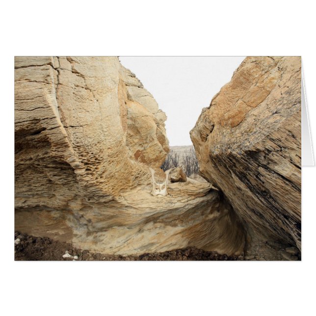 Ouvrir (Devant horizontal)