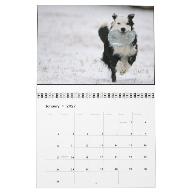 Ouzo 2010 Calendar (Jan 2027)