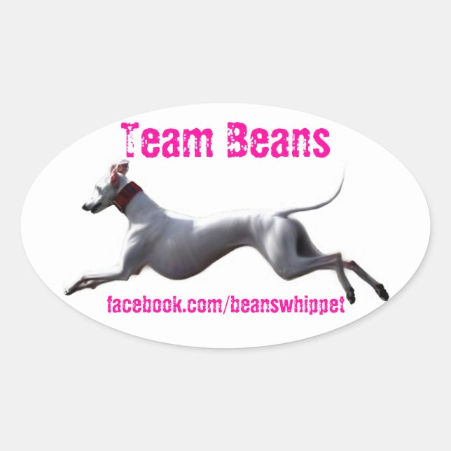 Oval Decal Team Beans Sticker (Front)