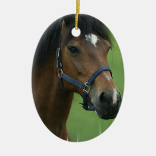 Ovale En Céramique Ornement Arabe de cheval