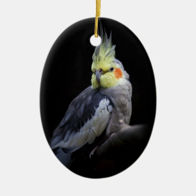 Ovale En Céramique Ornement Cockatiel (Devant)