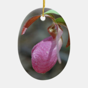 Ovale En Céramique Ornement rose Lady Slipper Flower