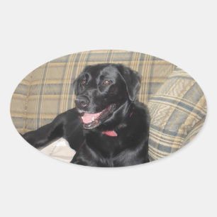 Ovale Sticker Black Lab