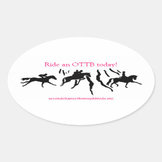 Ovale Sticker du logo SCT