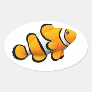 Ovale Sticker personnalisable Percula Clown Anenome Pois