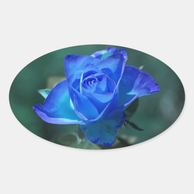 Ovale Sticker Rose bleu (Devant)