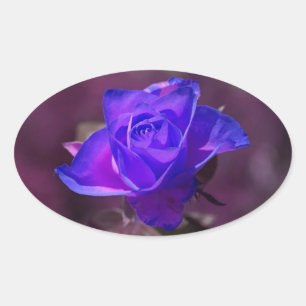 Ovale Sticker Rose violet profond