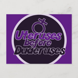 Ovaries Before Brovaries Postcard