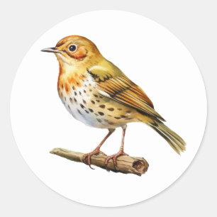 Oven Bird Stickers
