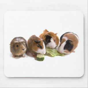 oven guinea pigs who eat, mouse pad