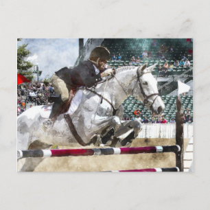 Over Easy Hunter Jumper Show Jumping Postcard