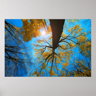 Over my head poster