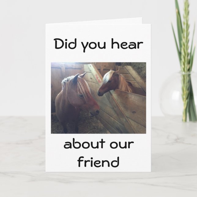 OVER THE HILL HUMOR FROM TWO TALKING HORSES CARD (Front)