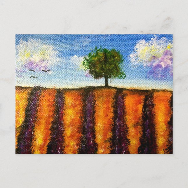 Over the Lavender Fields Postcards (Front)