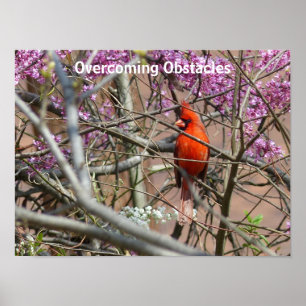 Overcoming Obstacles - poster