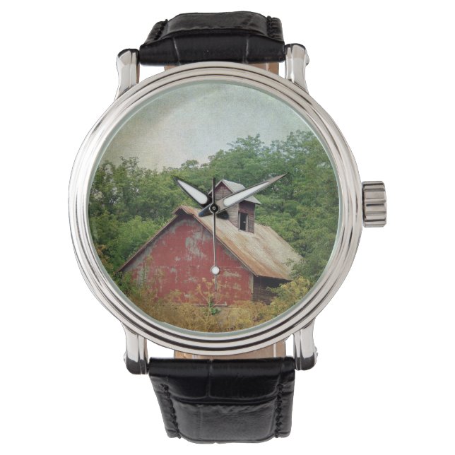 Overgrown and Abandoned Watch (Front)